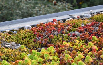 the cost of Nailsbourne green roof installation