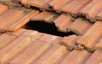 roof repair Nailsbourne, Somerset
